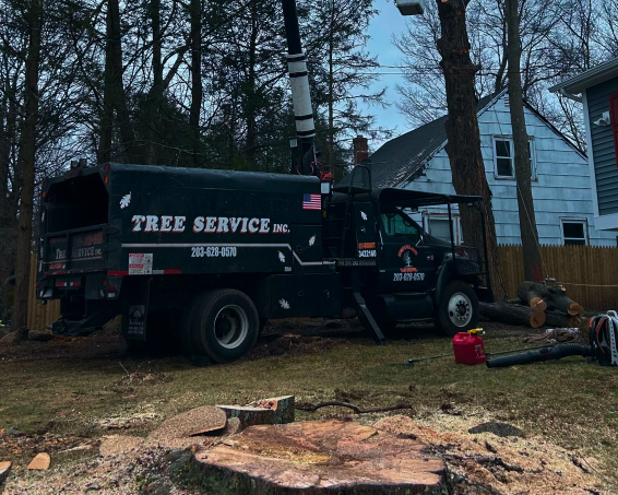 tree services (1)